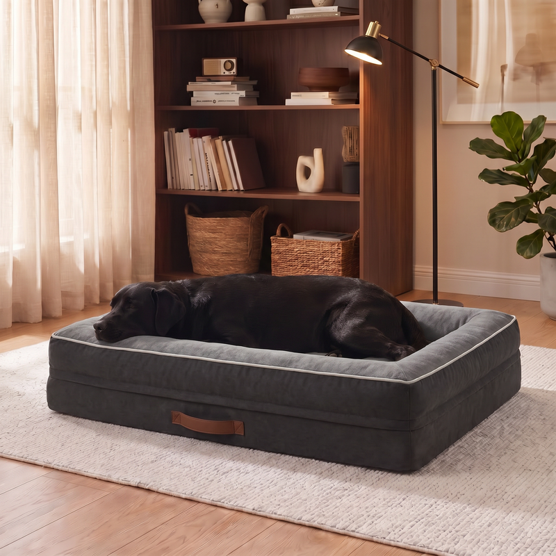 A black labrador resting on the Apawrest Grand Bolster Bed in Slate Grey