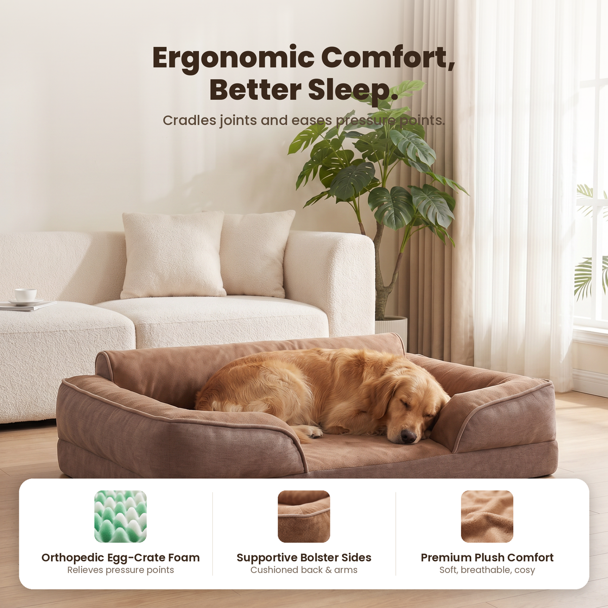 Apawrest Deep-Sleep Sofa Bed in Walnut, comfort feature graphic