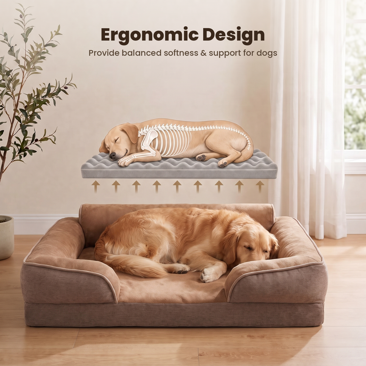 Apawrest Deep-Sleep Sofa Bed in Walnut, ergonomic design feature graphic