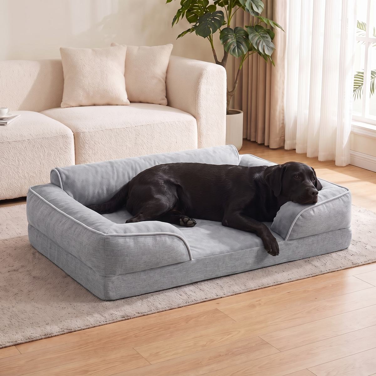 A black labrador resting on the Apawrest Deep-Sleep Sofa Bed in Mist Grey