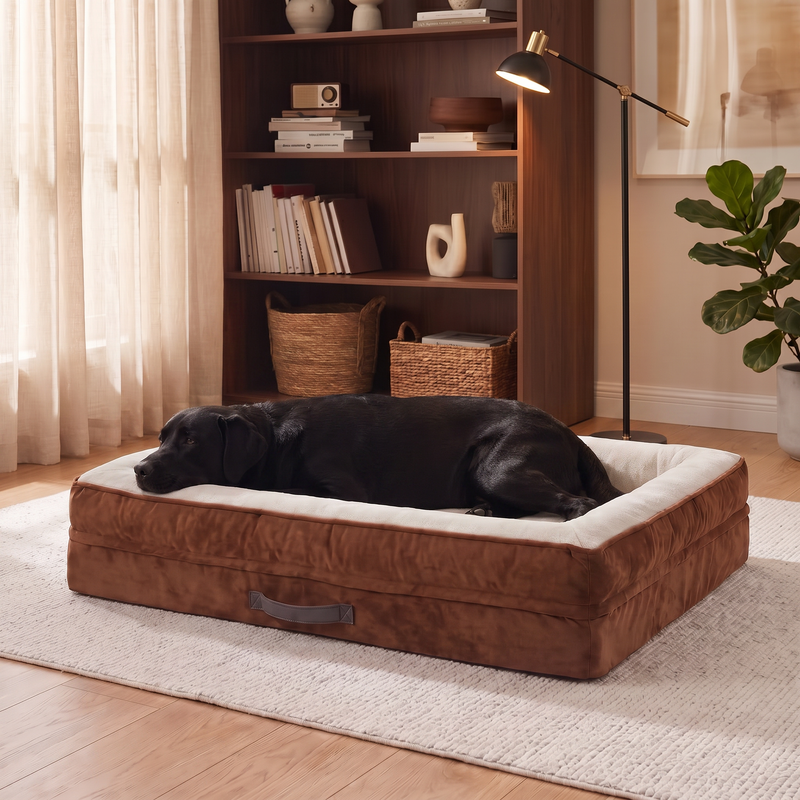 A black labrador resting on the Apawrest Grand Bolster Bed in Walnut