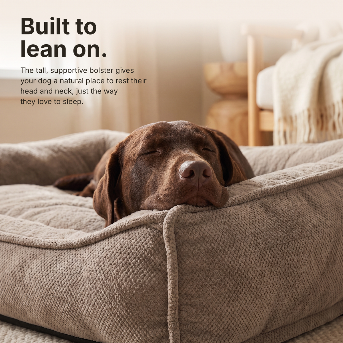 Apawrest Ergonomic Couch Bed in Walnut, built-to-lean-on feature graphic
