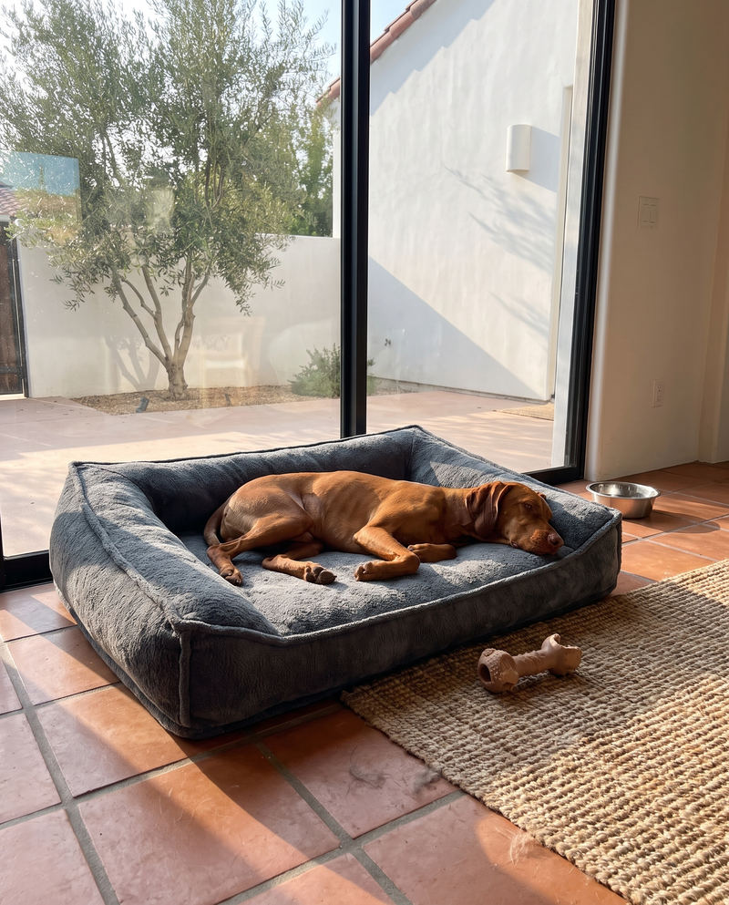 Customer dog on Apawrest bed